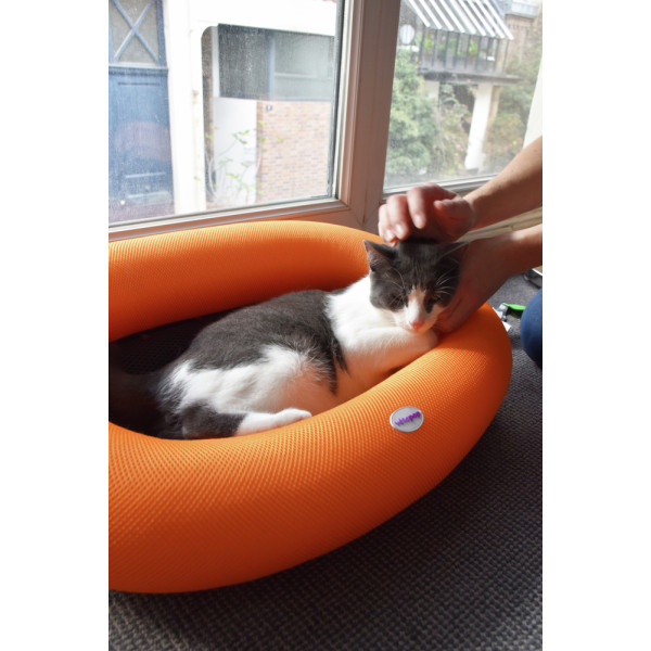 Comfort Bed for Dogs & Cats – Ideal for Seniors and Recovery